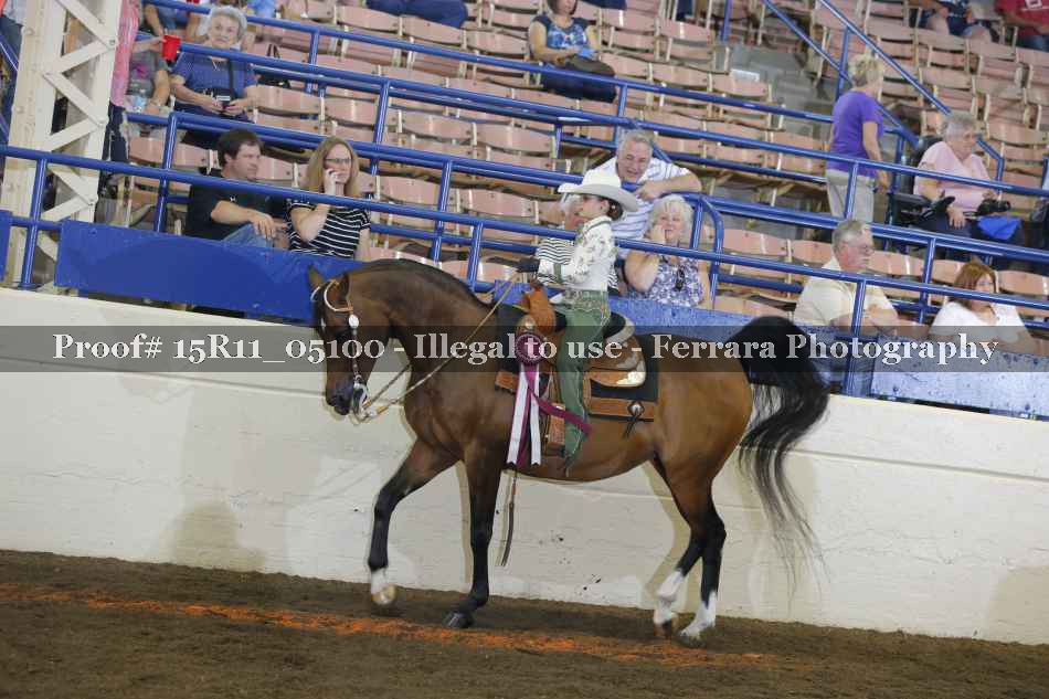 Proof Number 15R11_05100