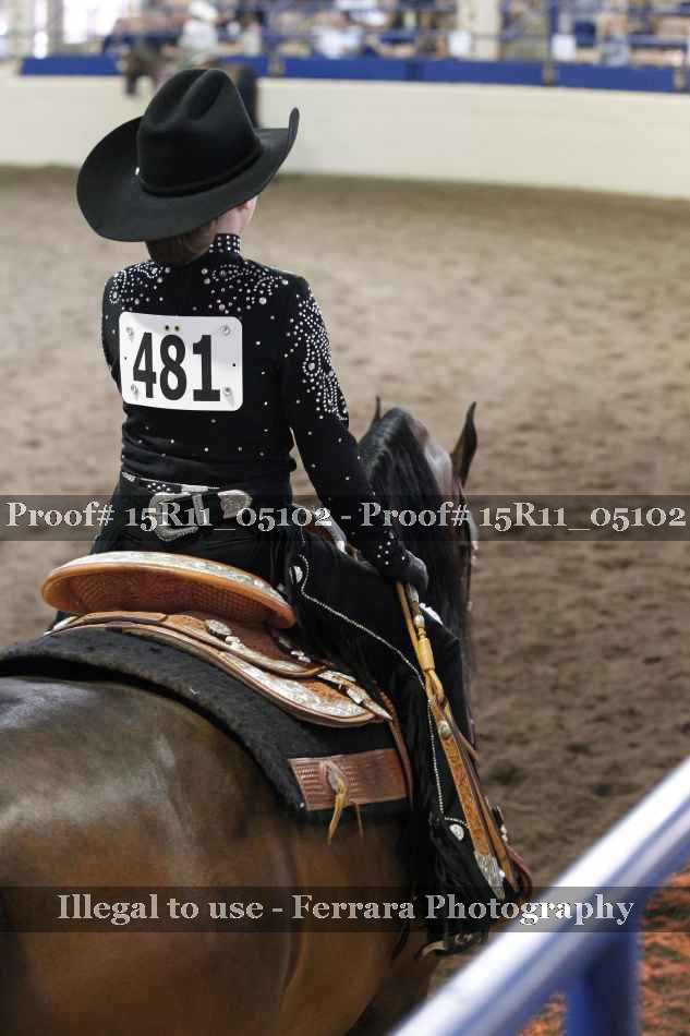 Proof Number 15R11_05102