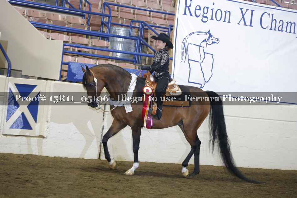 Proof Number 15R11_05106