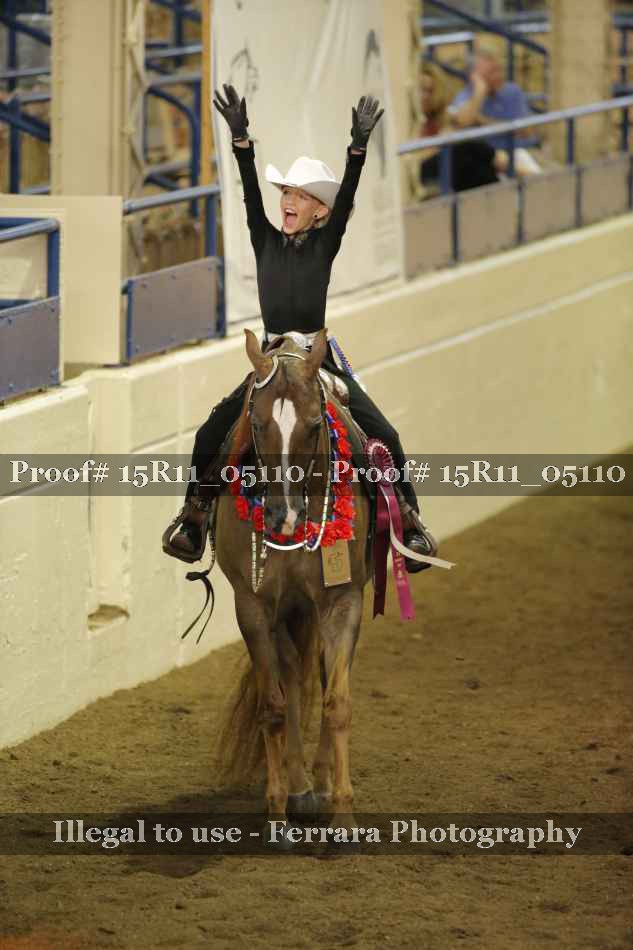 Proof Number 15R11_05110