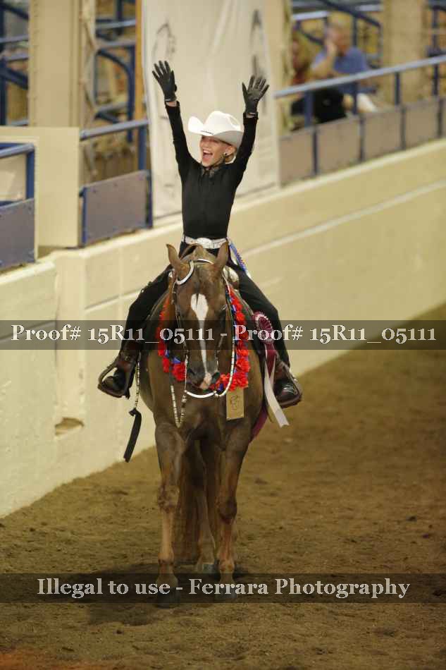 Proof Number 15R11_05111