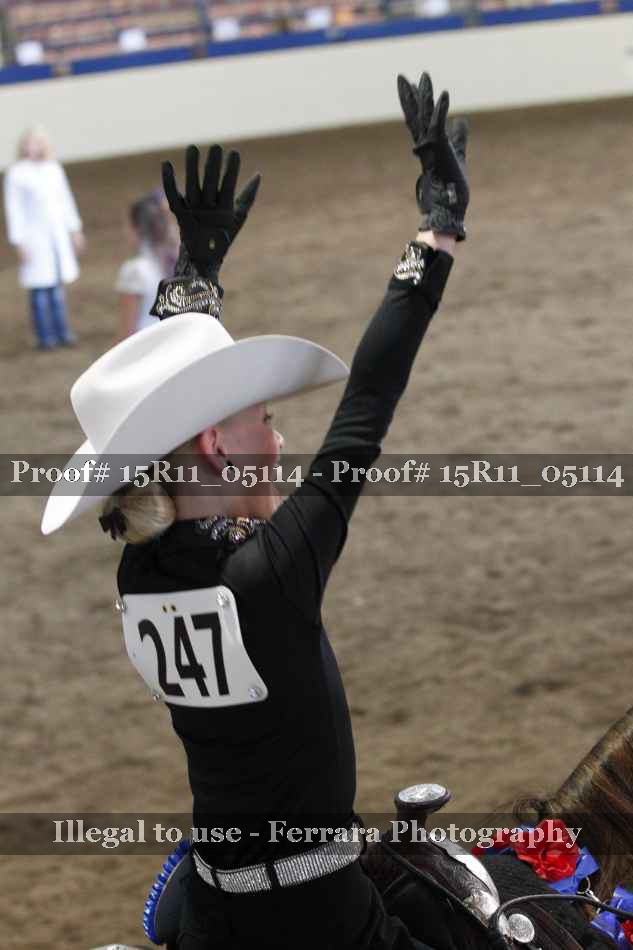Proof Number 15R11_05114