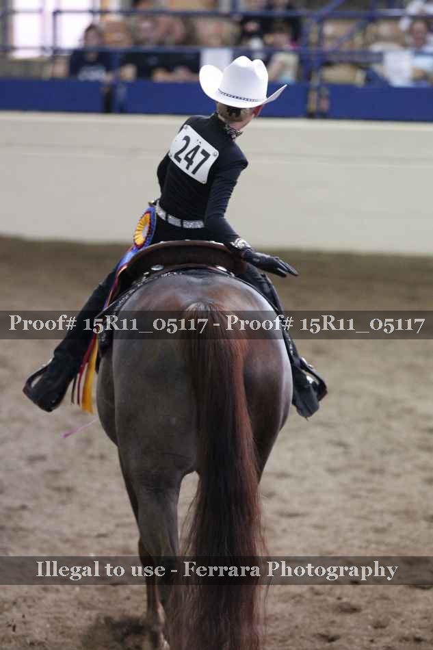 Proof Number 15R11_05117