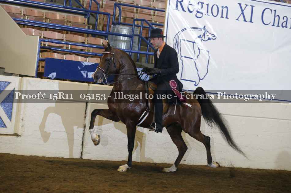 Proof Number 15R11_05153