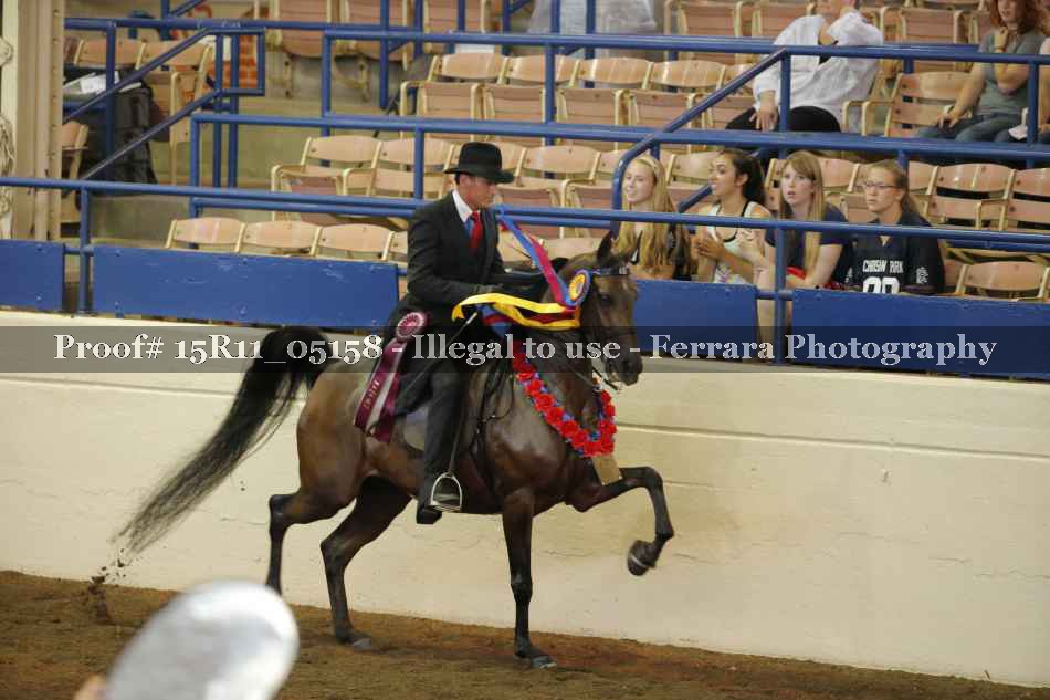Proof Number 15R11_05158