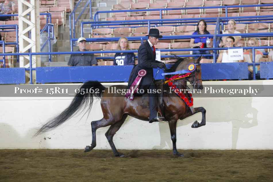 Proof Number 15R11_05162
