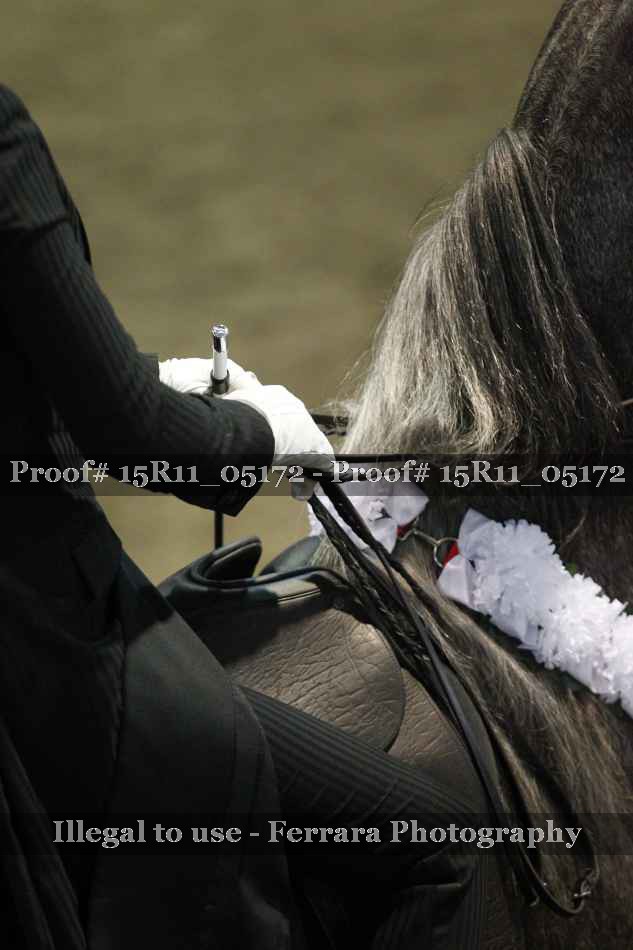 Proof Number 15R11_05172