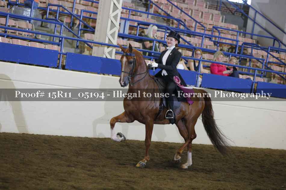 Proof Number 15R11_05194