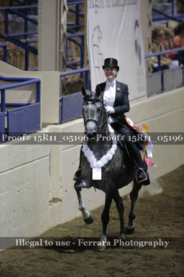 Proof Number 15R11_05196