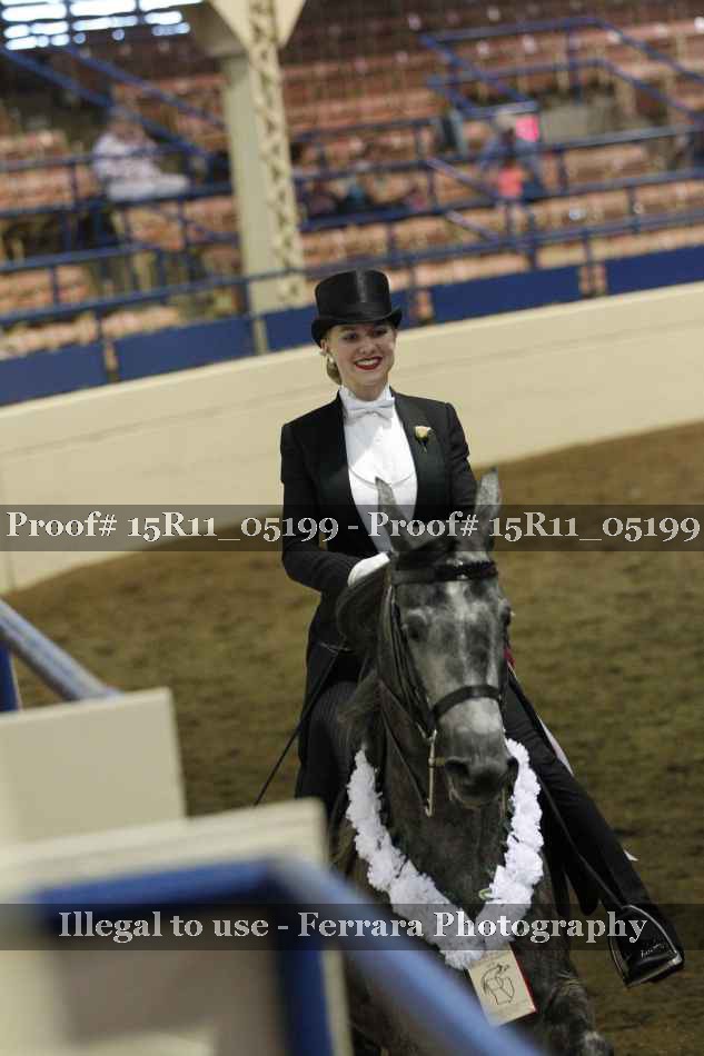 Proof Number 15R11_05199