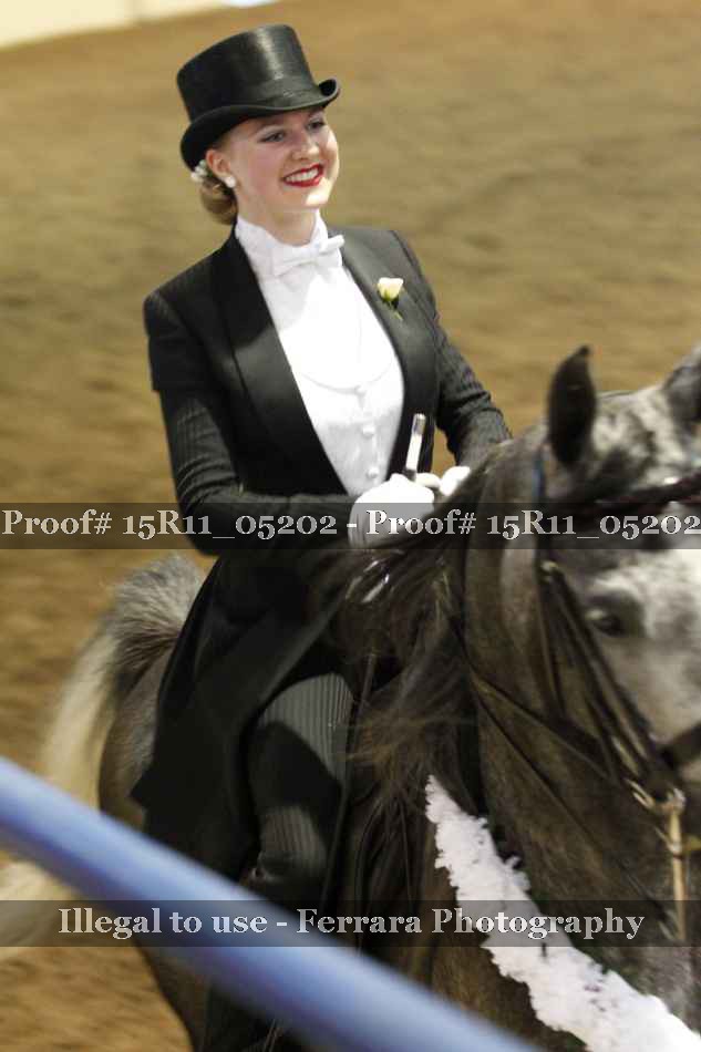 Proof Number 15R11_05202