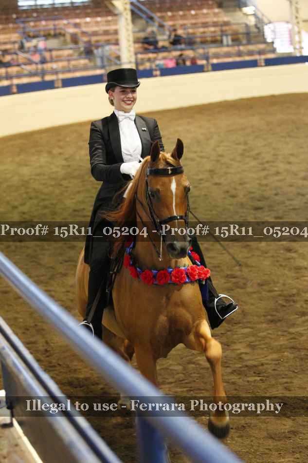Proof Number 15R11_05204
