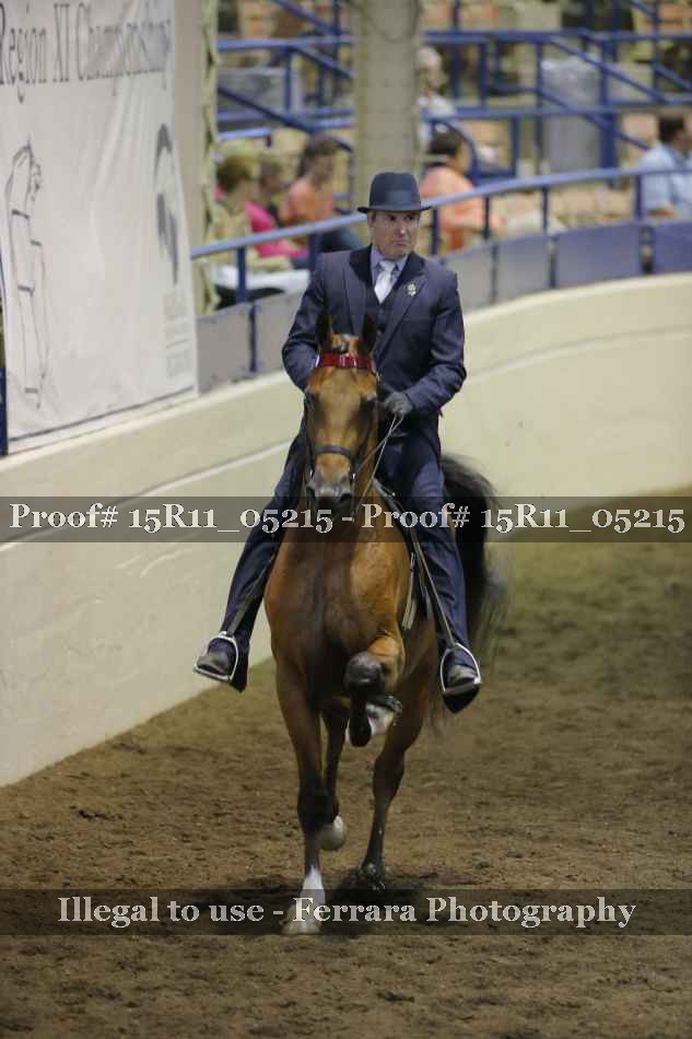 Proof Number 15R11_05215