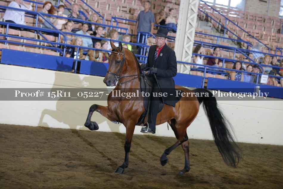 Proof Number 15R11_05227