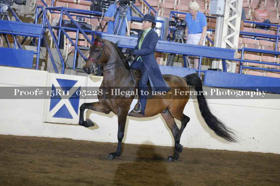 Proof Number 15R11_05228