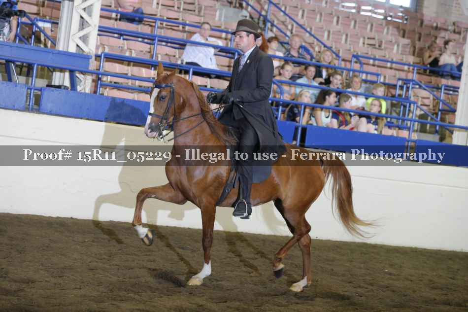 Proof Number 15R11_05229