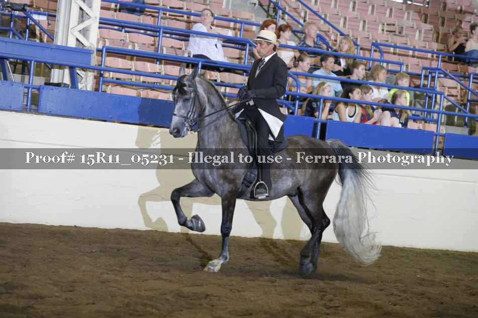 Proof Number 15R11_05231