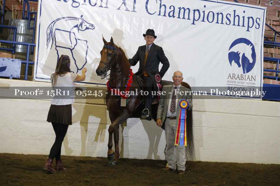 Proof Number 15R11_05245