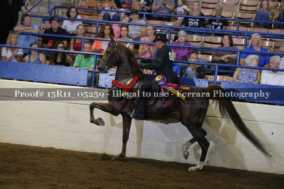 Proof Number 15R11_05259