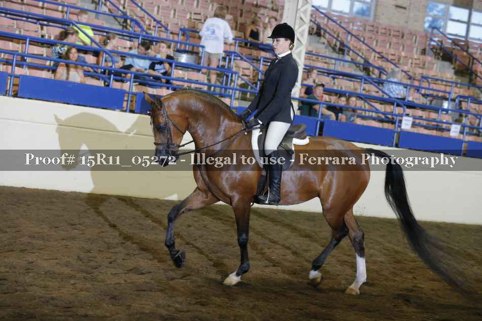 Proof Number 15R11_05272