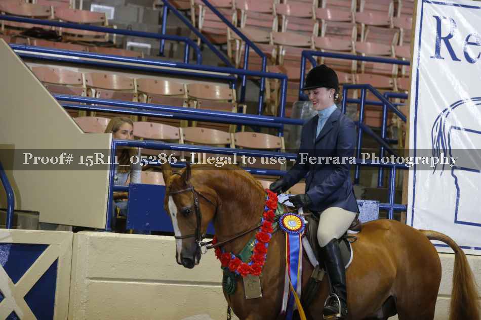 Proof Number 15R11_05286