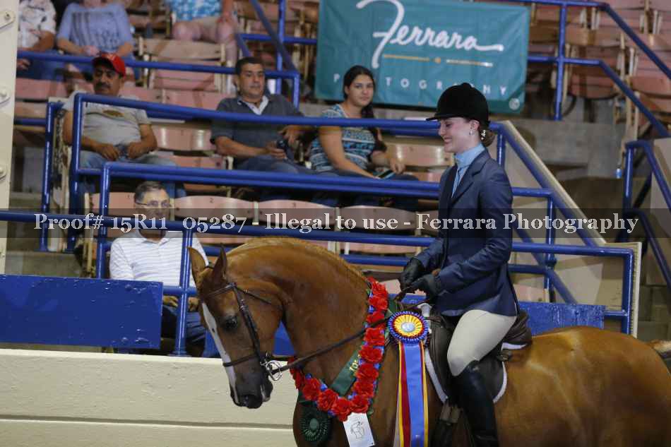 Proof Number 15R11_05287