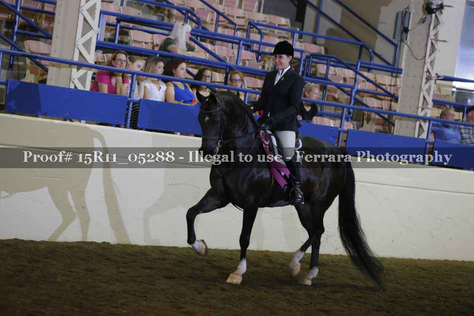 Proof Number 15R11_05288