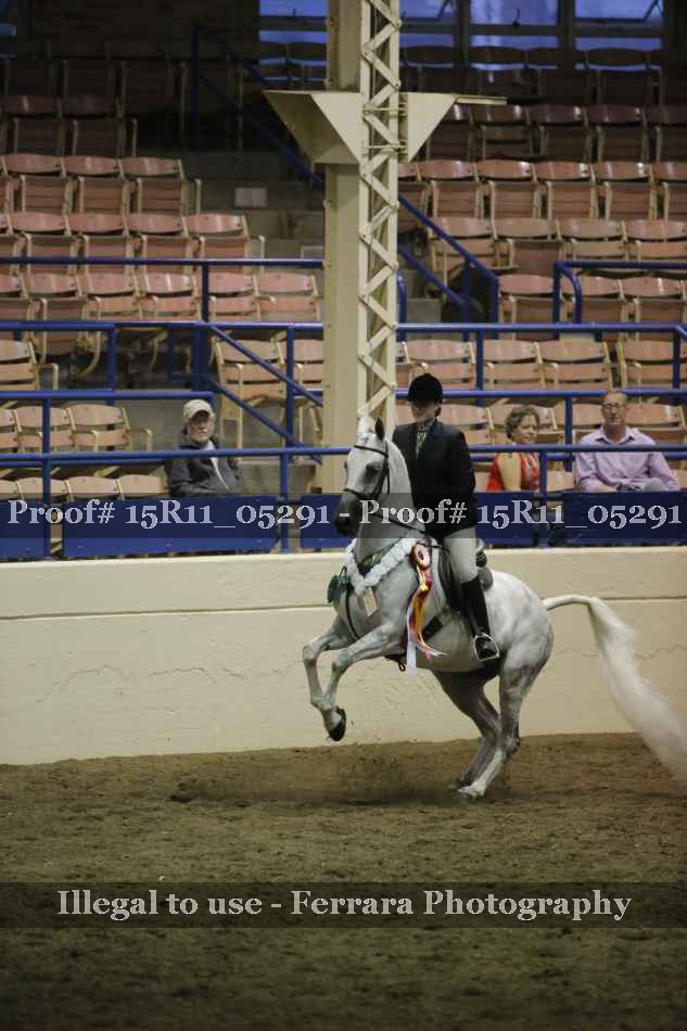 Proof Number 15R11_05291