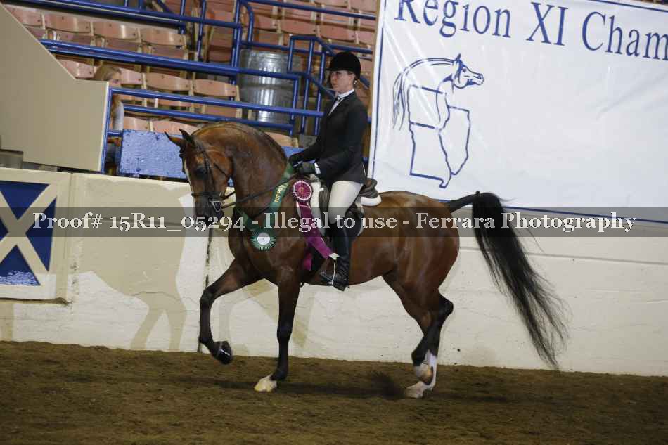 Proof Number 15R11_05294