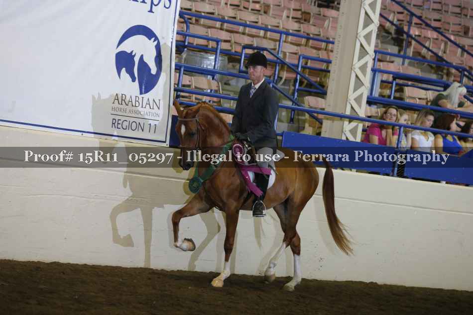 Proof Number 15R11_05297