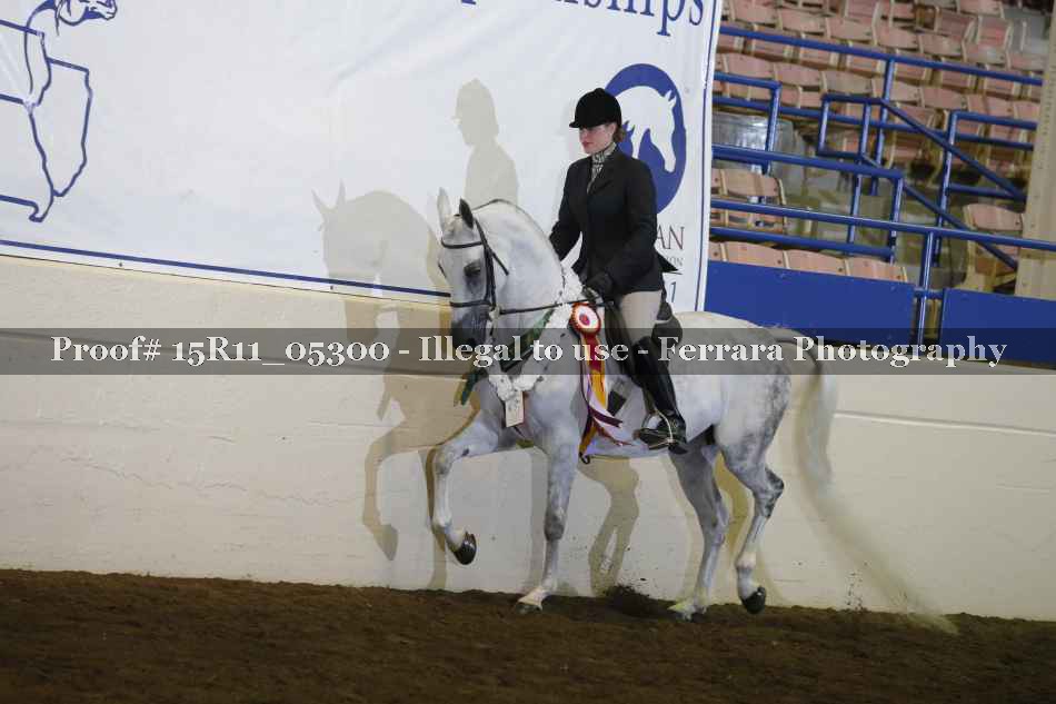 Proof Number 15R11_05300