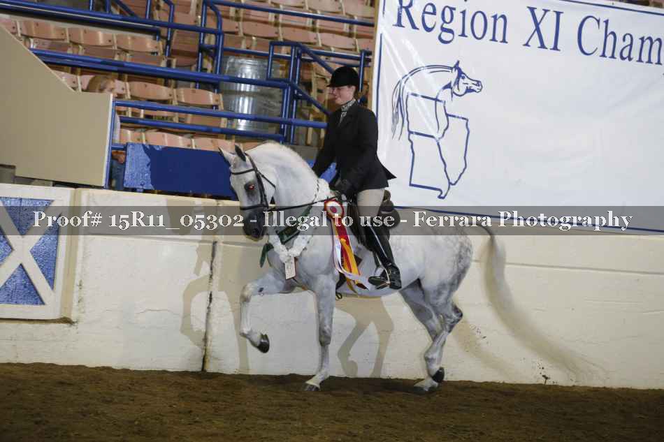 Proof Number 15R11_05302