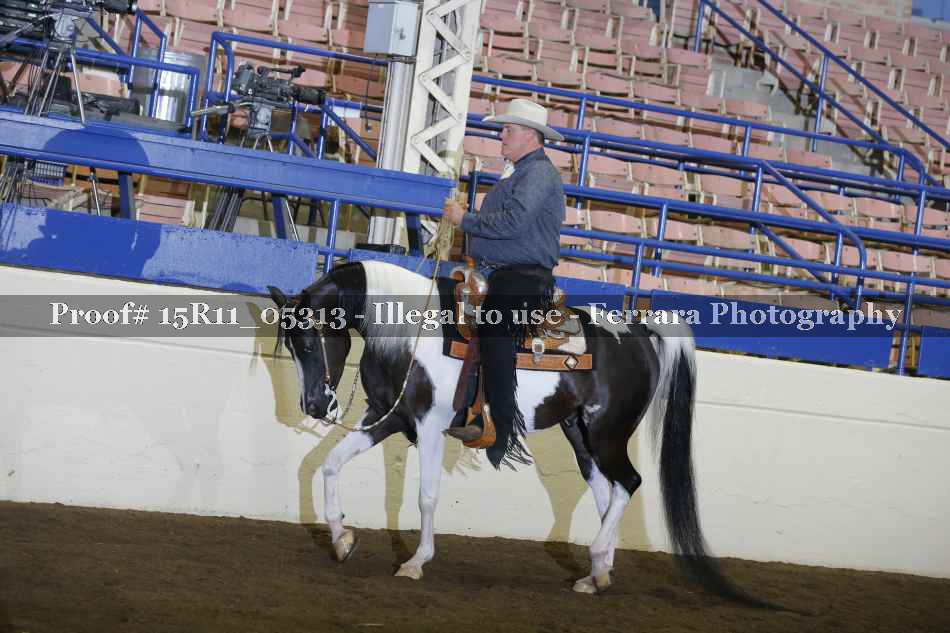Proof Number 15R11_05313