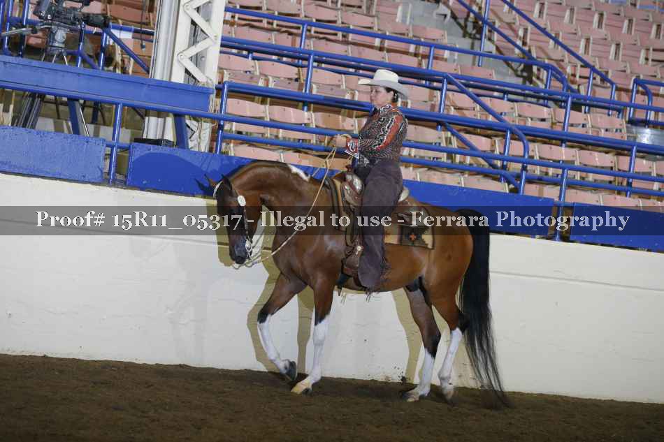 Proof Number 15R11_05317