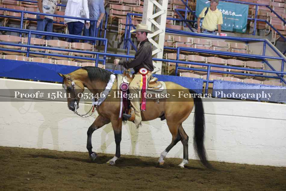 Proof Number 15R11_05346
