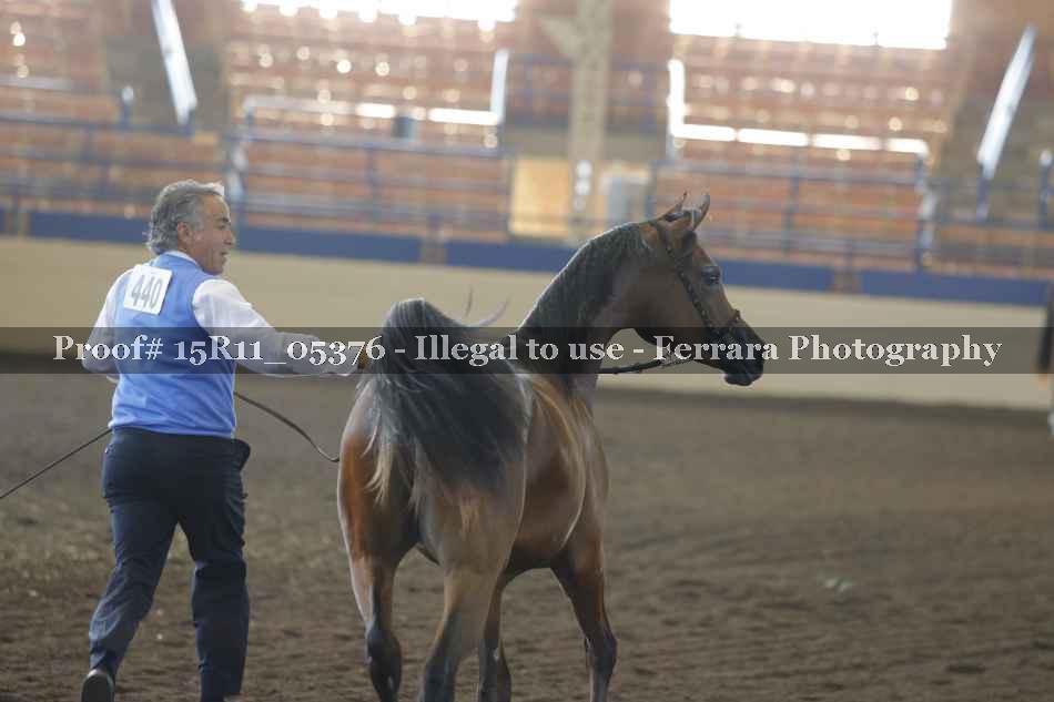 Proof Number 15R11_05376