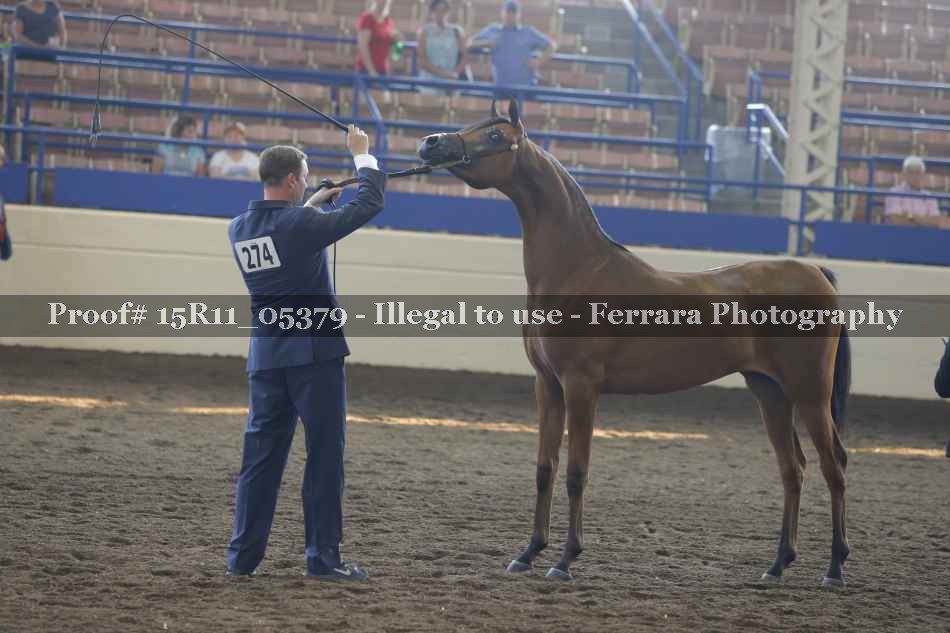 Proof Number 15R11_05379