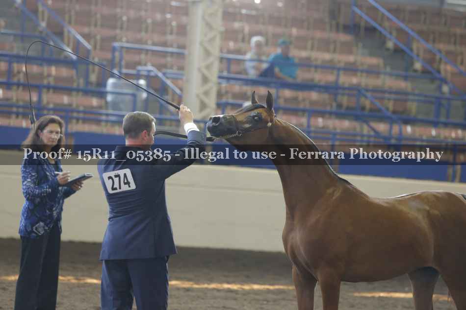 Proof Number 15R11_05385