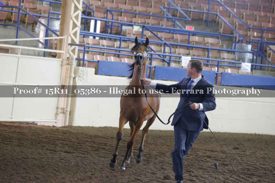 Proof Number 15R11_05386