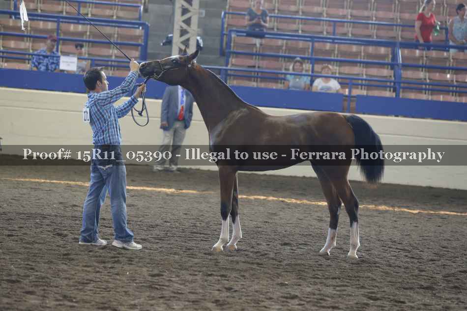 Proof Number 15R11_05390