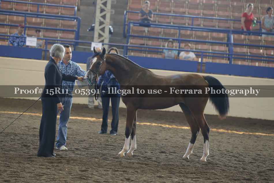 Proof Number 15R11_05391
