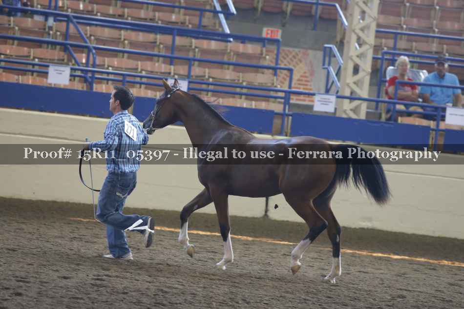 Proof Number 15R11_05397