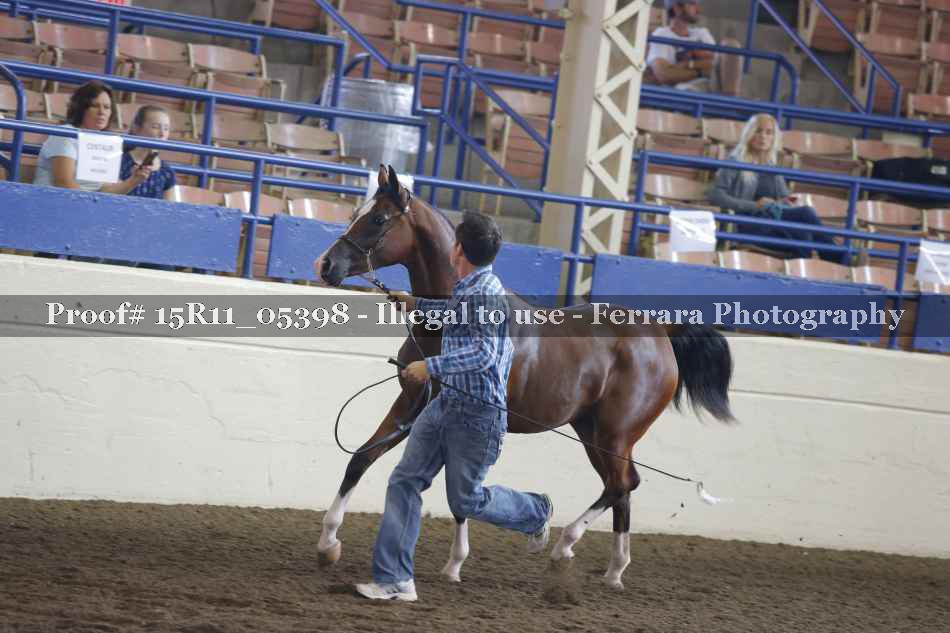 Proof Number 15R11_05398
