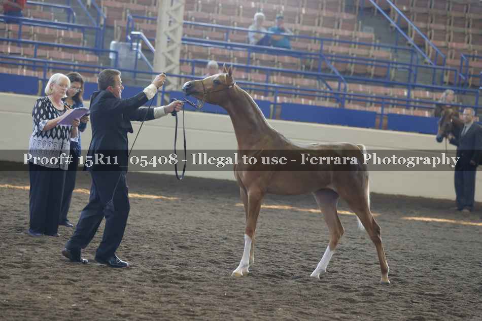 Proof Number 15R11_05408