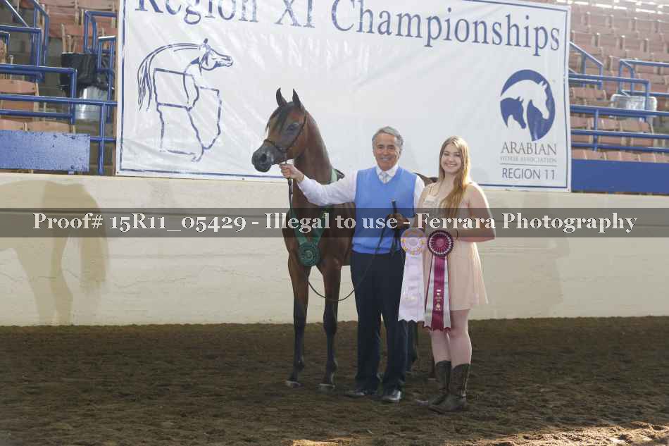 Proof Number 15R11_05429