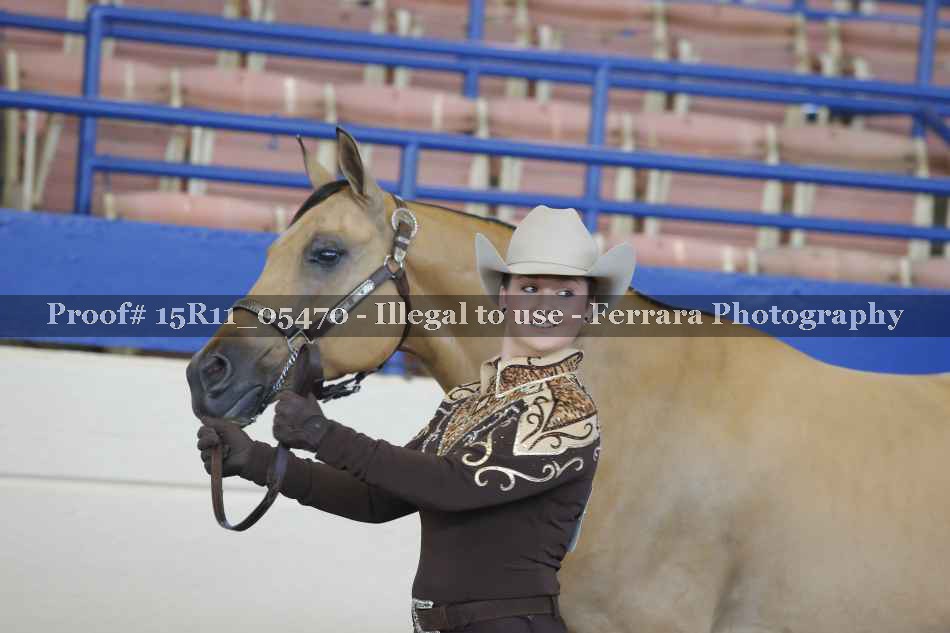 Proof Number 15R11_05470