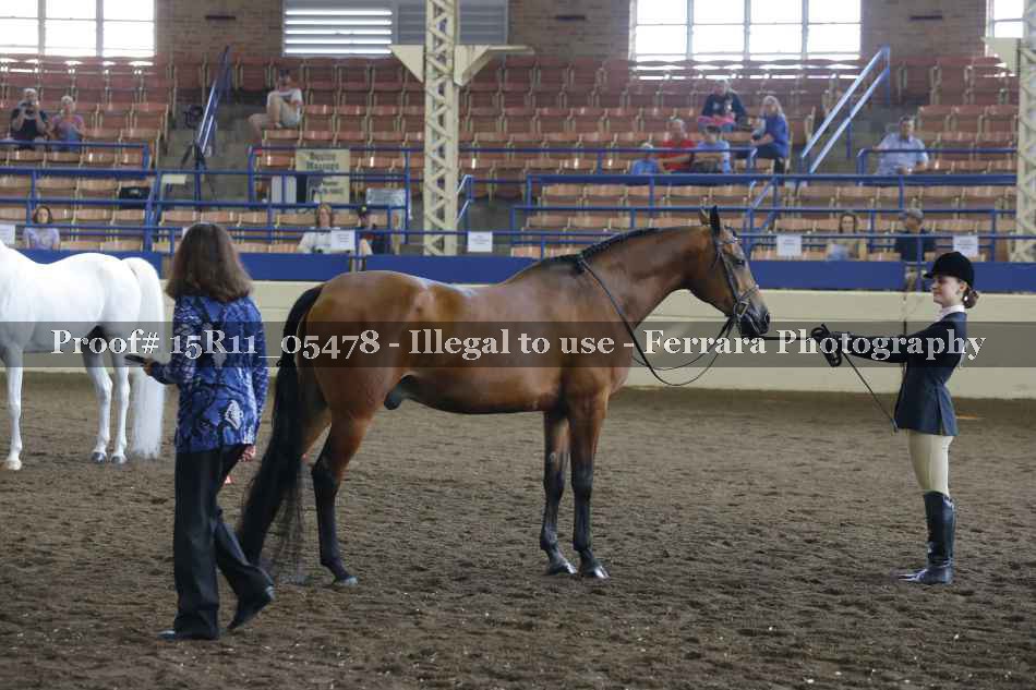 Proof Number 15R11_05478