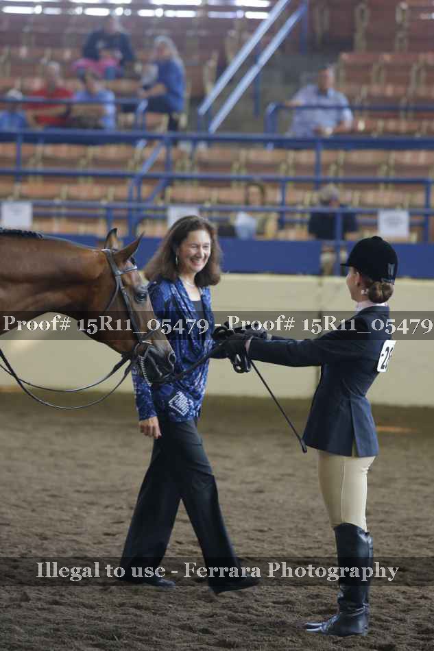 Proof Number 15R11_05479
