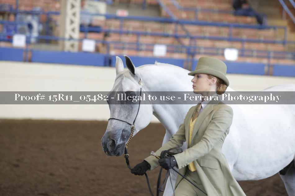 Proof Number 15R11_05482