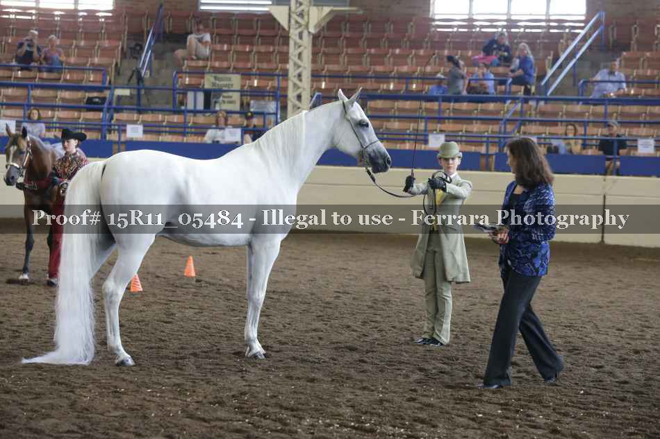 Proof Number 15R11_05484